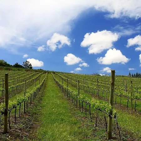 Semesterbostad Quinta Dos Capuchos Casa Da Adega Alcobaça