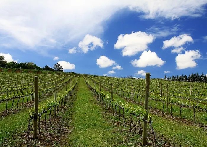 Дом отдыха Quinta Dos Capuchos Casa Da Adega Алкобаса